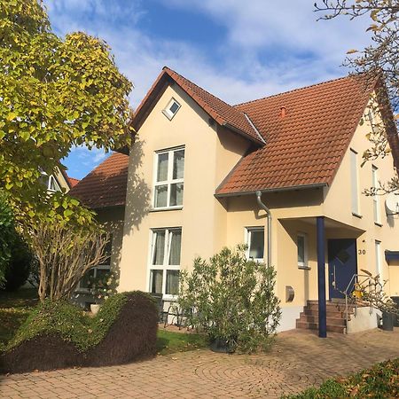 Ferienwohnung Suedpfalz Mit Fernblick Bochingen Esterno foto