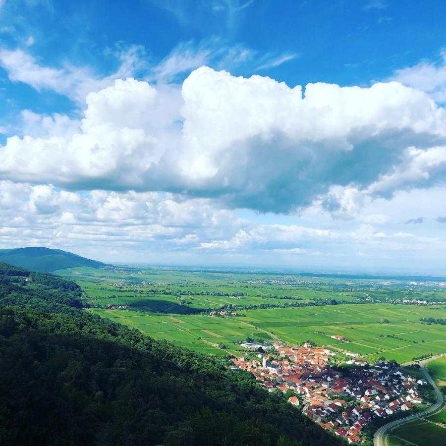 Ferienwohnung Suedpfalz Mit Fernblick Bochingen Esterno foto