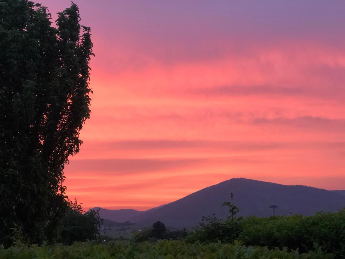 Ferienwohnung Suedpfalz Mit Fernblick Bochingen Esterno foto